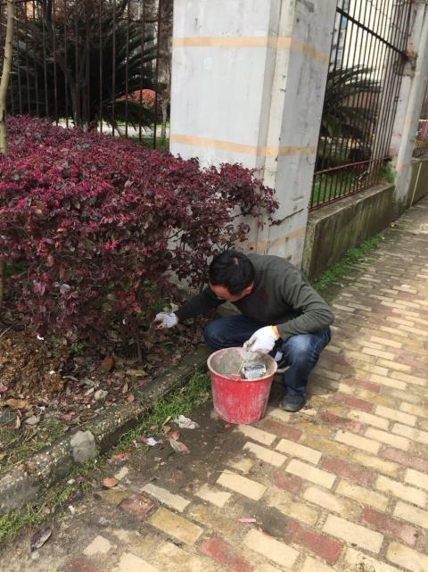 控制鼠害、预防疾病，，构建协调文明社区_尊时凯龙