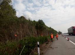 西外环高速标准试验段路域情形整治事情拉开帷幕_尊时凯龙