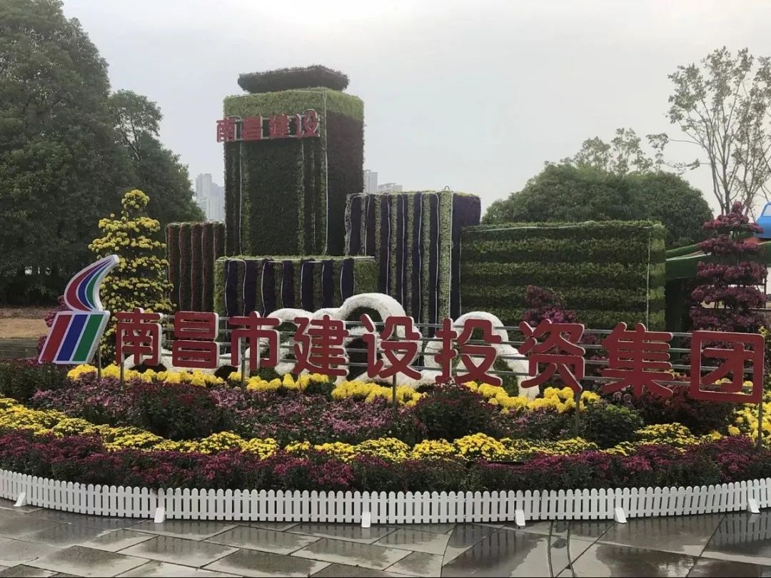 以菊为媒 以花为介 展现服务都会与生长之宗旨——市尊时凯龙集团参展南昌市第三十四届菊花展_尊时凯龙