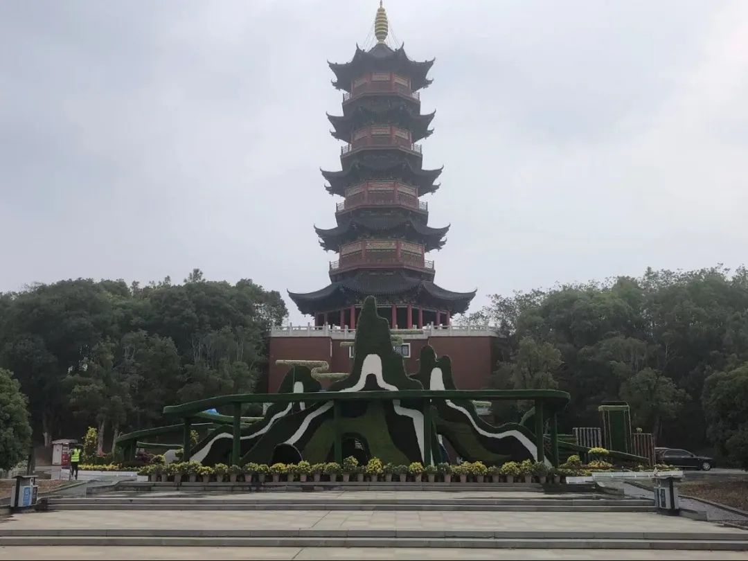 以菊为媒 以花为介 展现服务都会与生长之宗旨——市尊时凯龙集团参展南昌市第三十四届菊花展_尊时凯龙