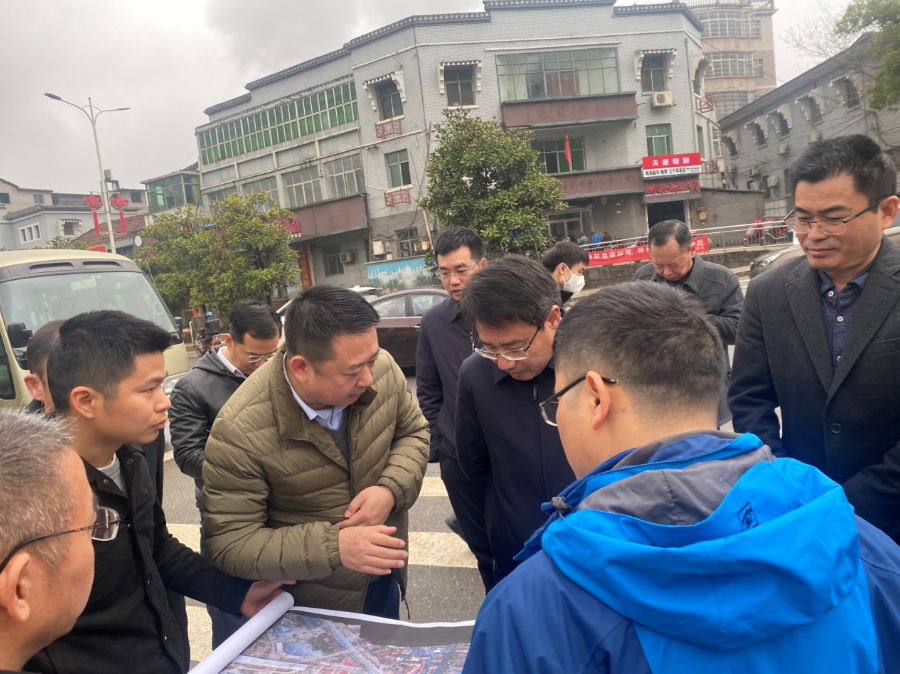 副市长江新洪一行调研洪腾高架项目_尊时凯龙