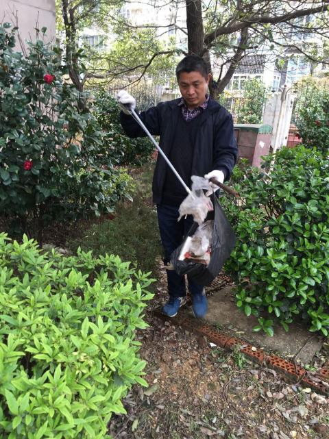 控制鼠害、预防疾病，，，，，构建协调文明社区